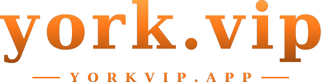 york.vip logo